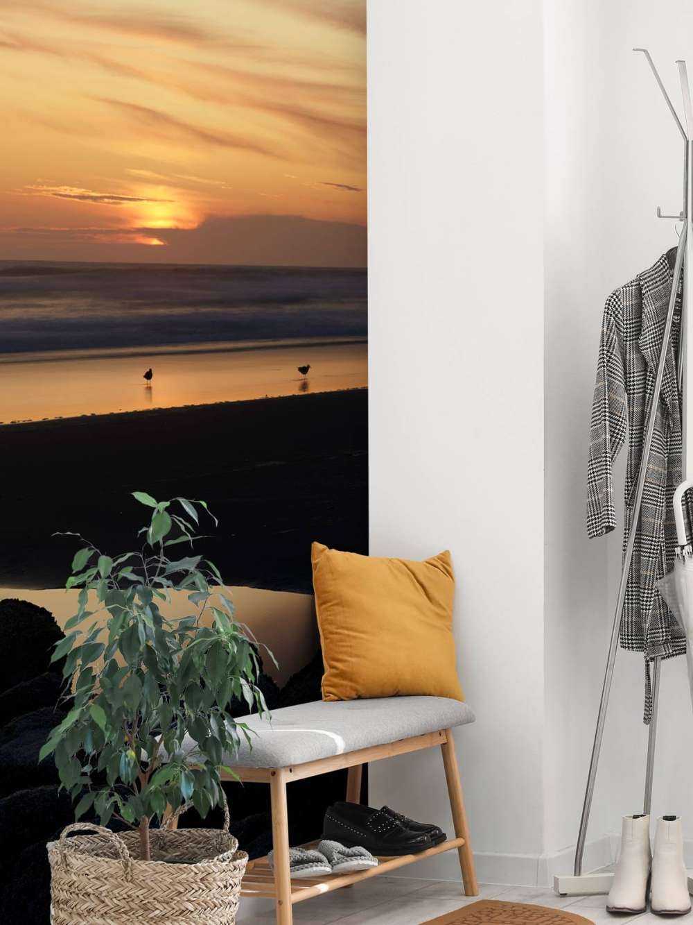 Fåglar vid solnedgången