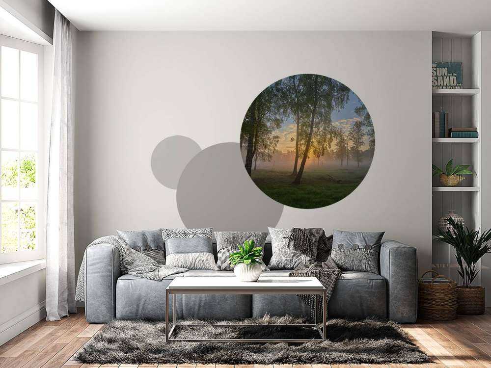 Soluppgång vid björkarna