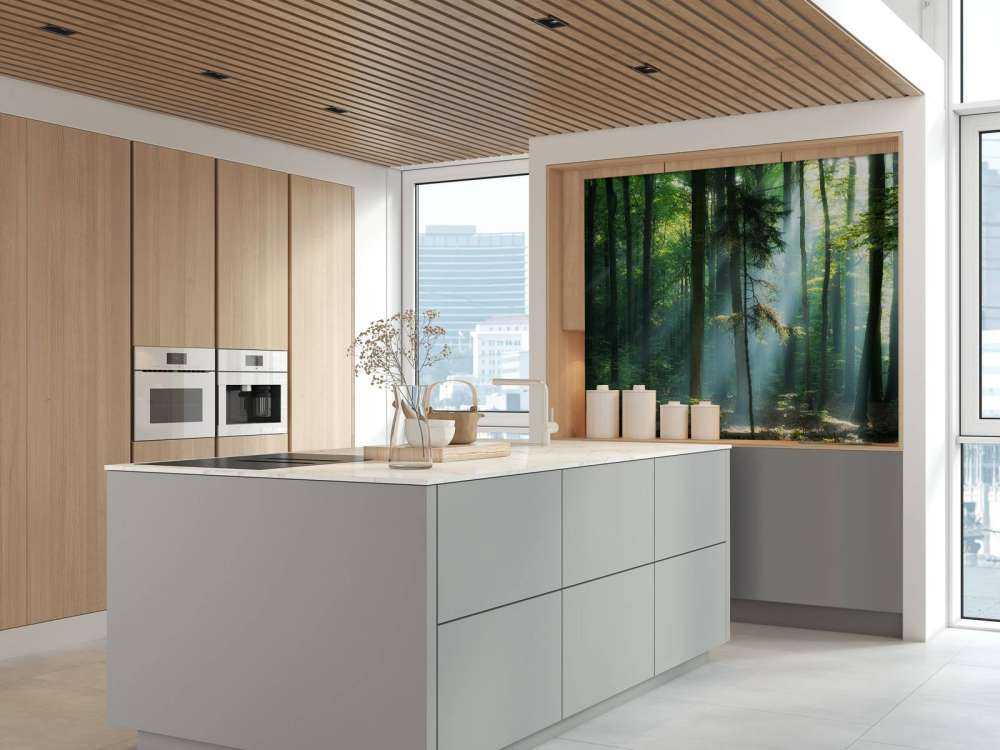 Soluppgång i skogen