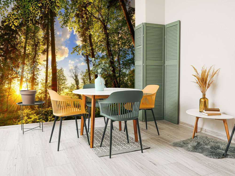 Solnedgång genom träden