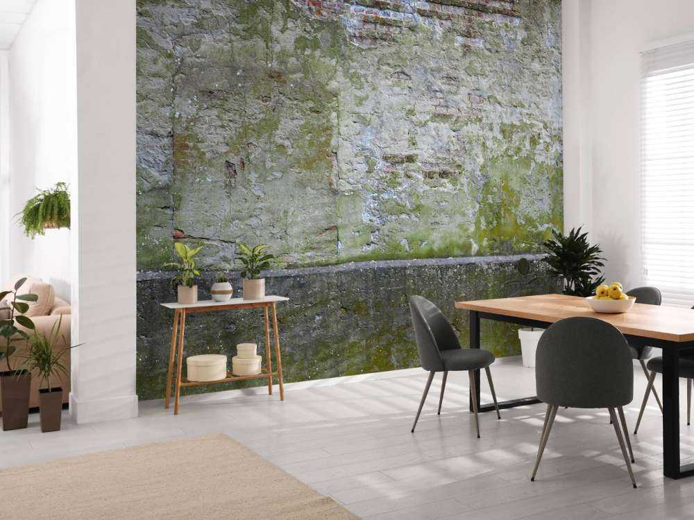 Mossa på gammal vägg