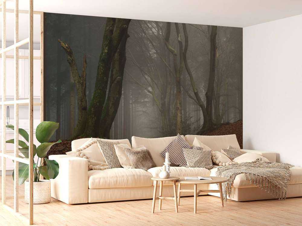 Sti gennem mystisk skov