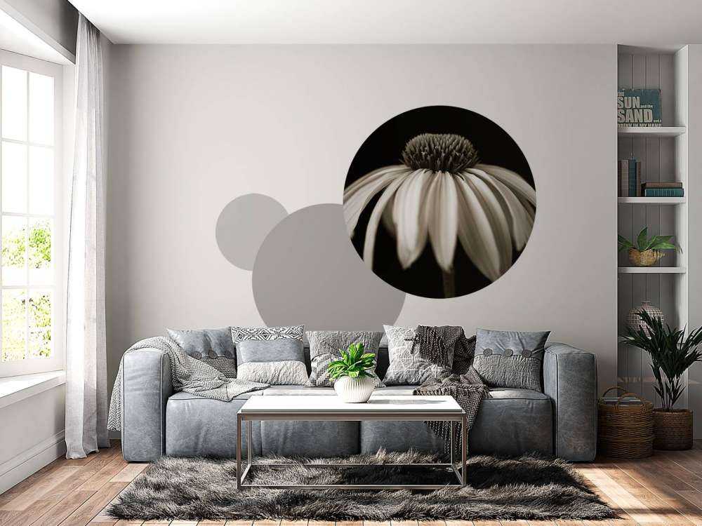 Nærbillede af kogleblomst