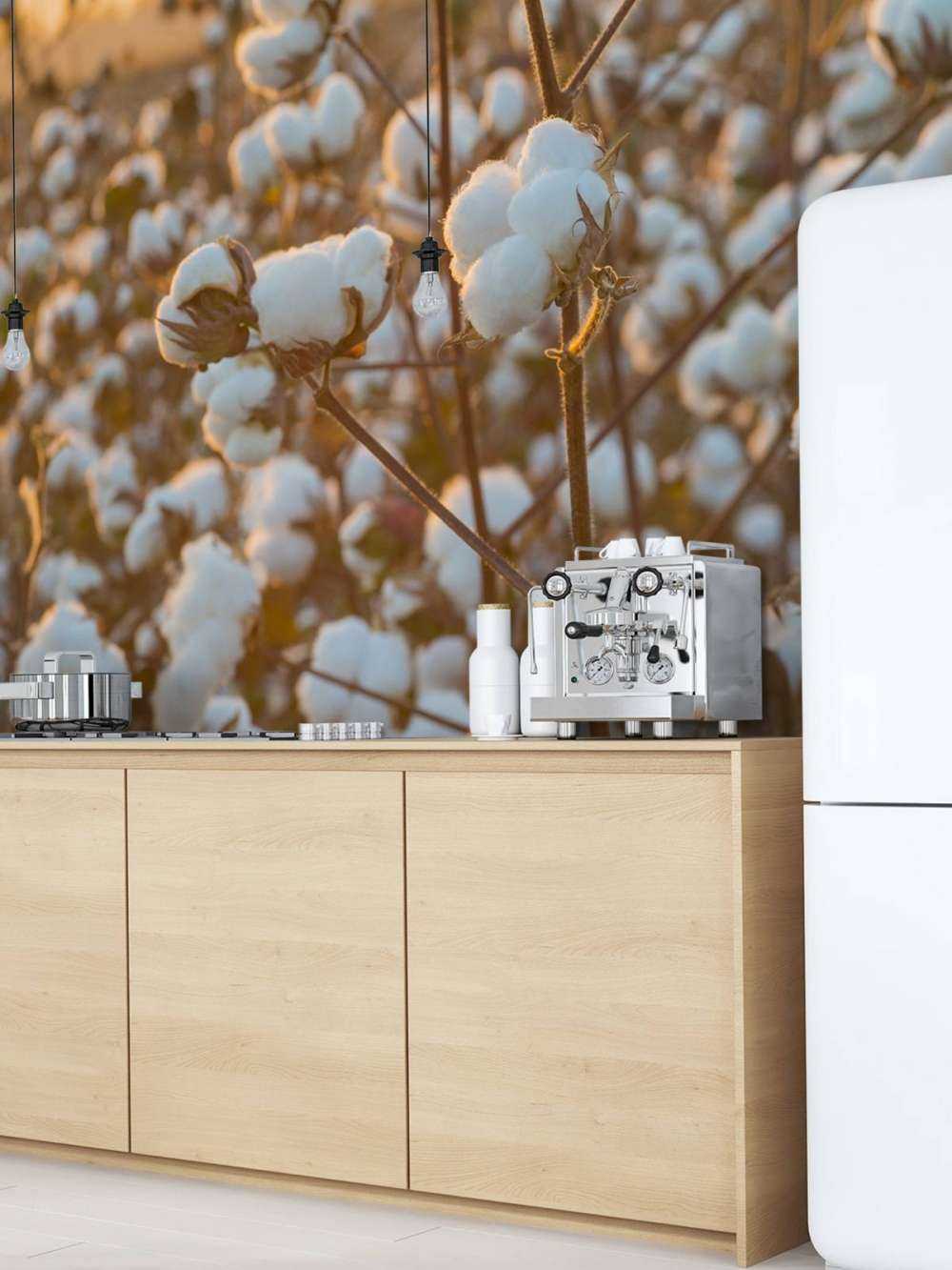 Bomuldsmark med gylden gul himmel