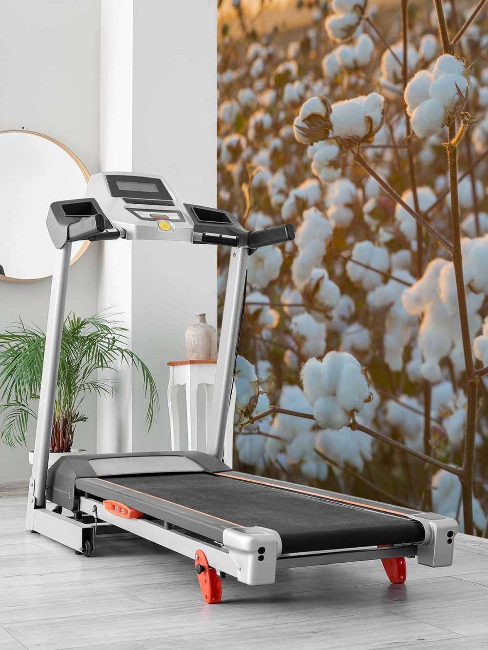 Bomuldsmark med gylden gul himmel