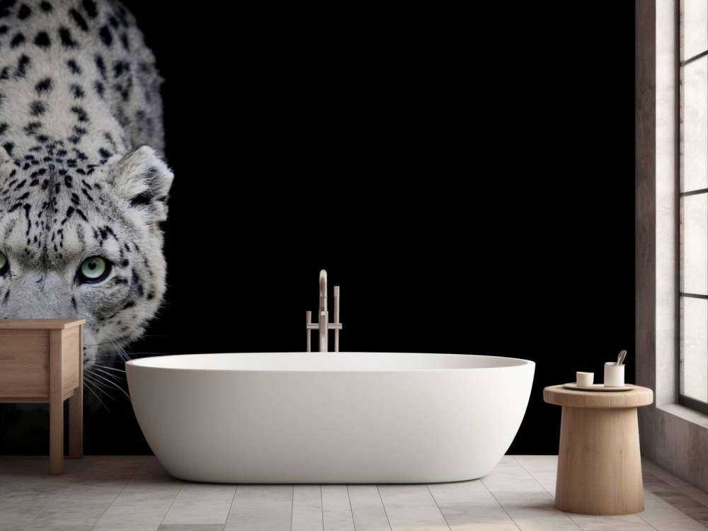 Sne leopard