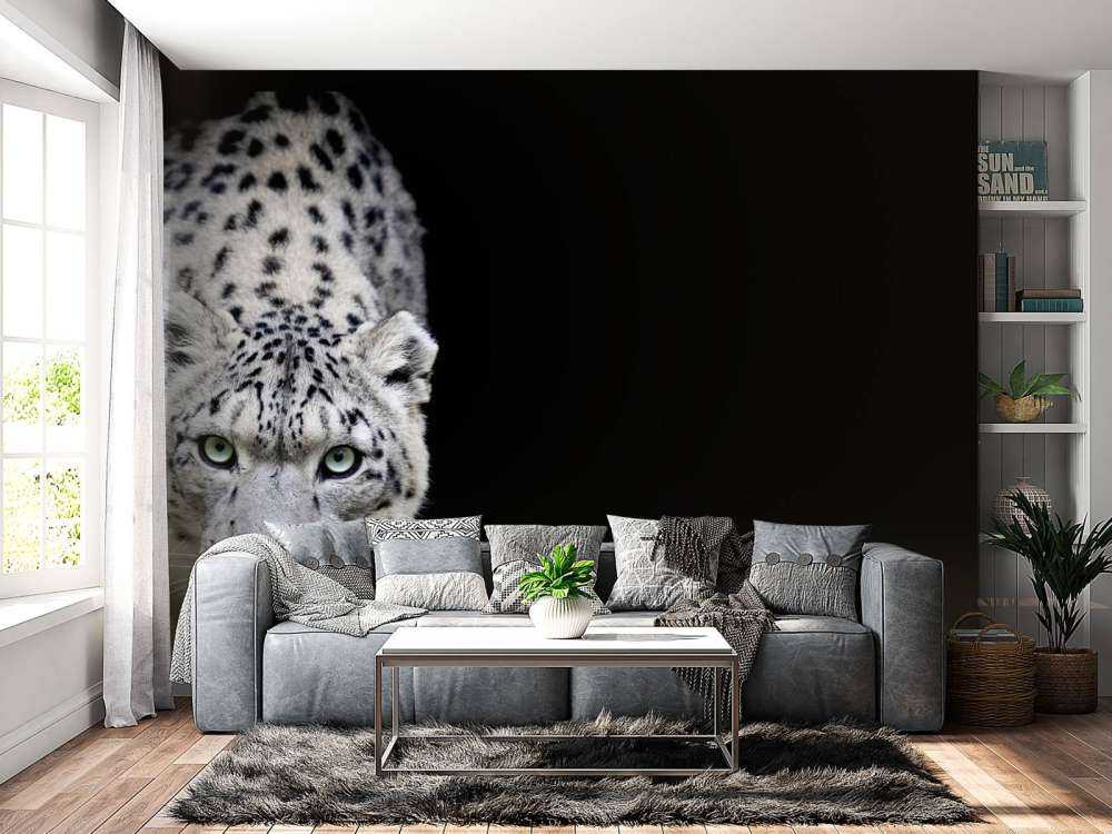 Sne leopard
