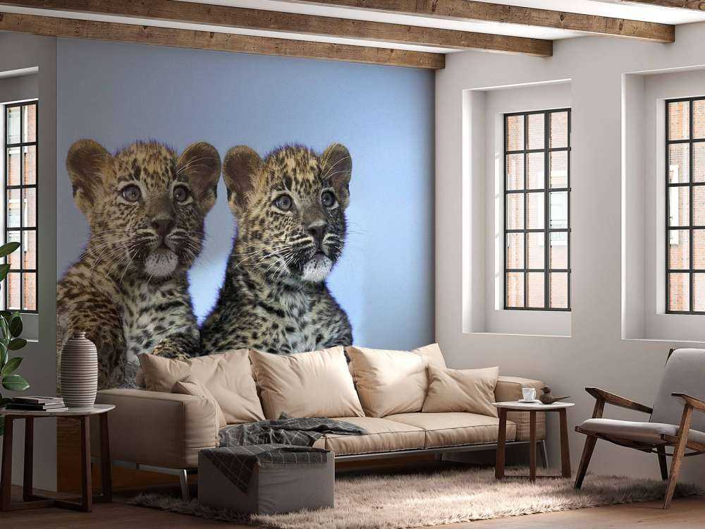 Små leoparder