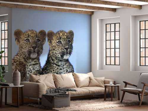 Små leoparder