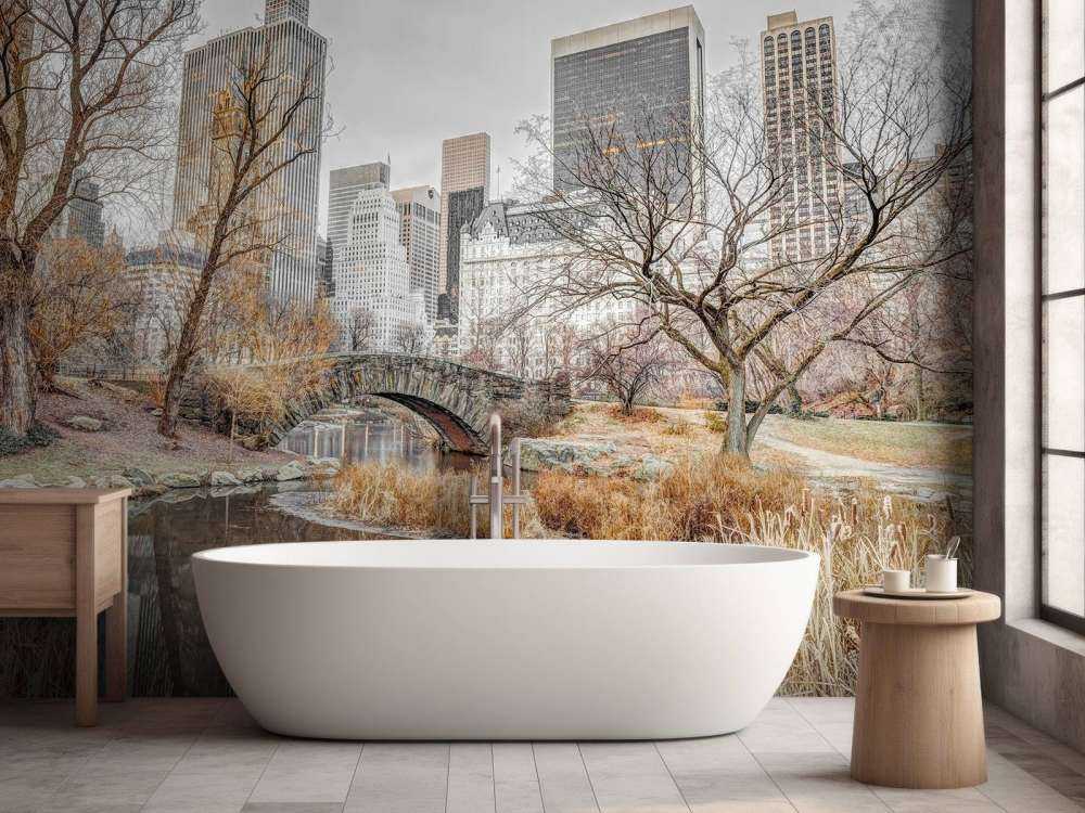 Central park om vinteren