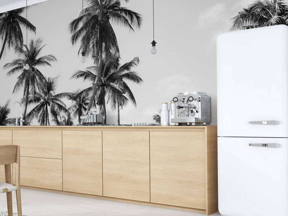 Palmer i sort og hvidt