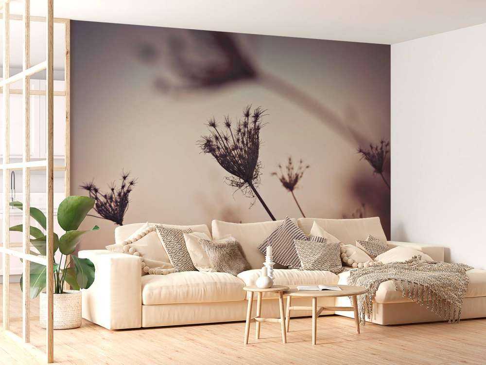 Silhuetter af planter