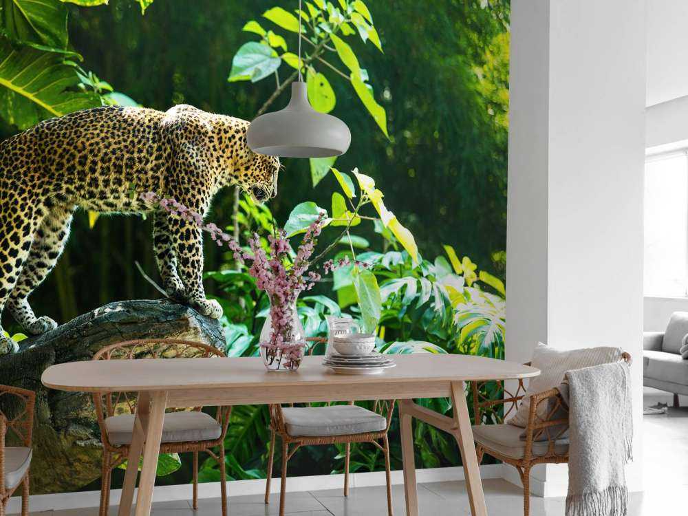 Leopard på en klippe