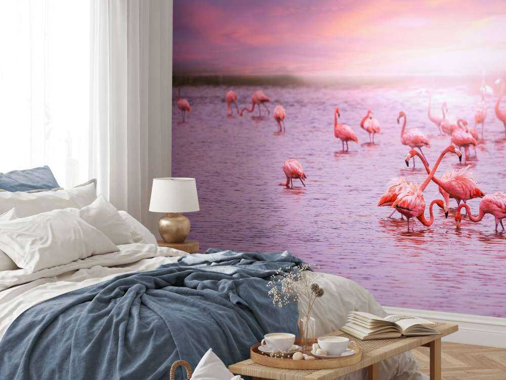 Flamingoer med solnedgang