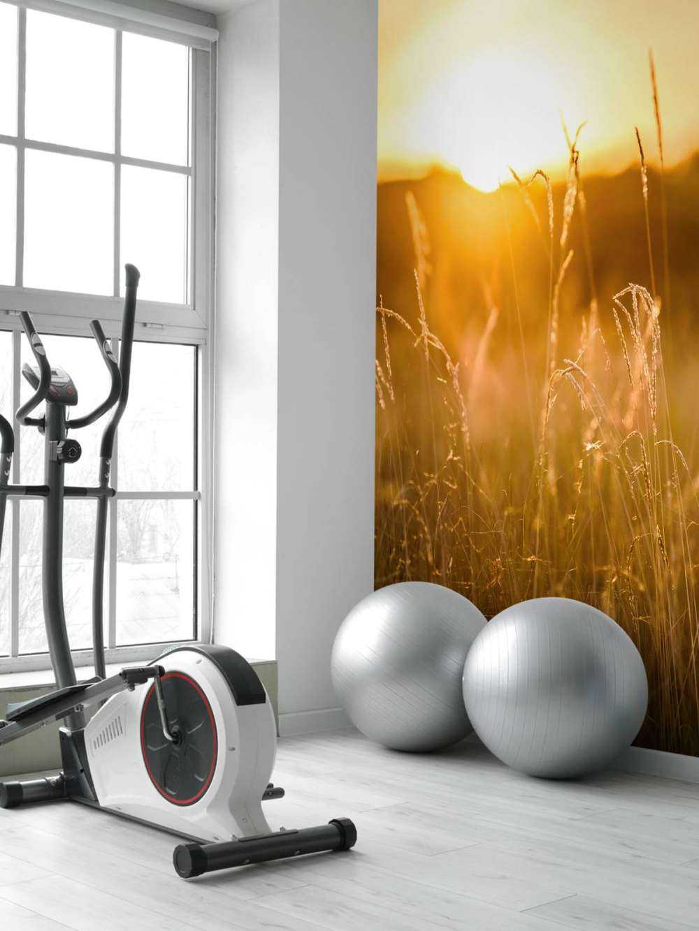 Solnedgang mellem kornet