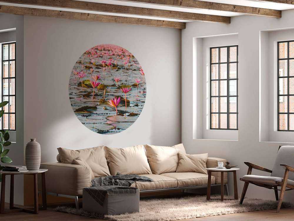 Hav af lotusblomster