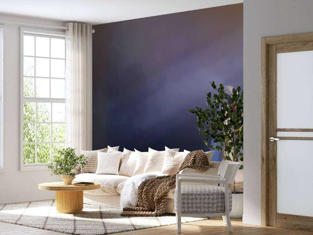 Elsker par hvide svaner