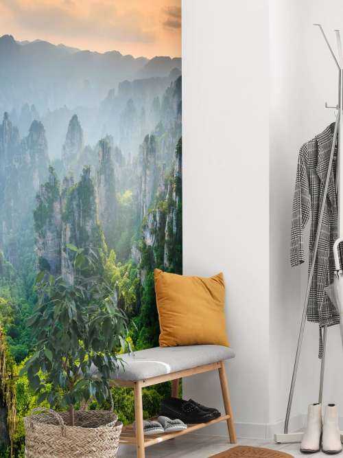 Jungle ovenfra