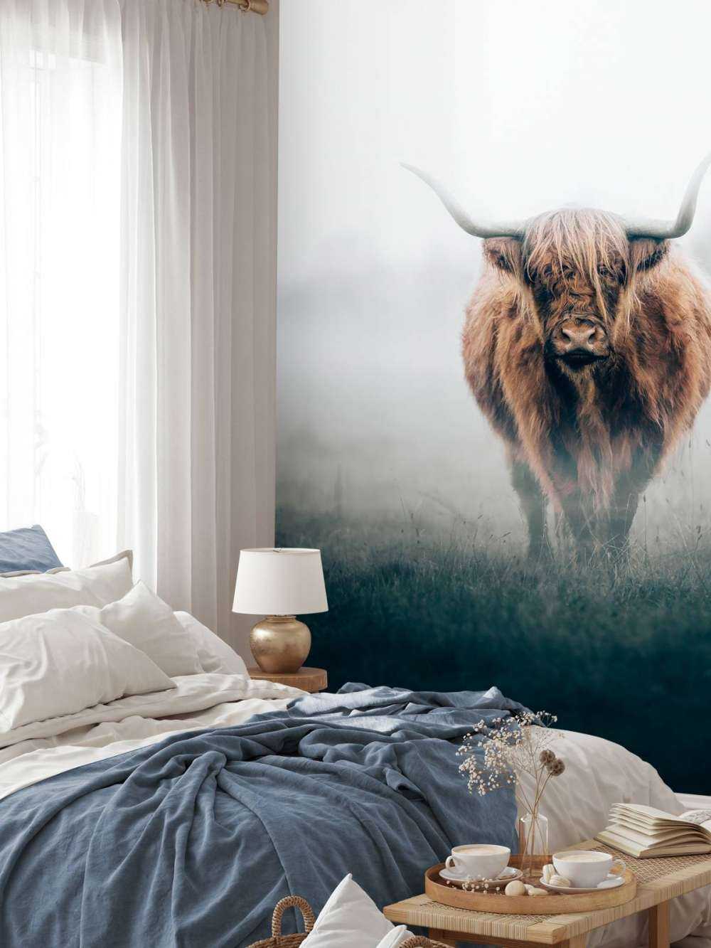 Skotsk højlænder i tæt tåge