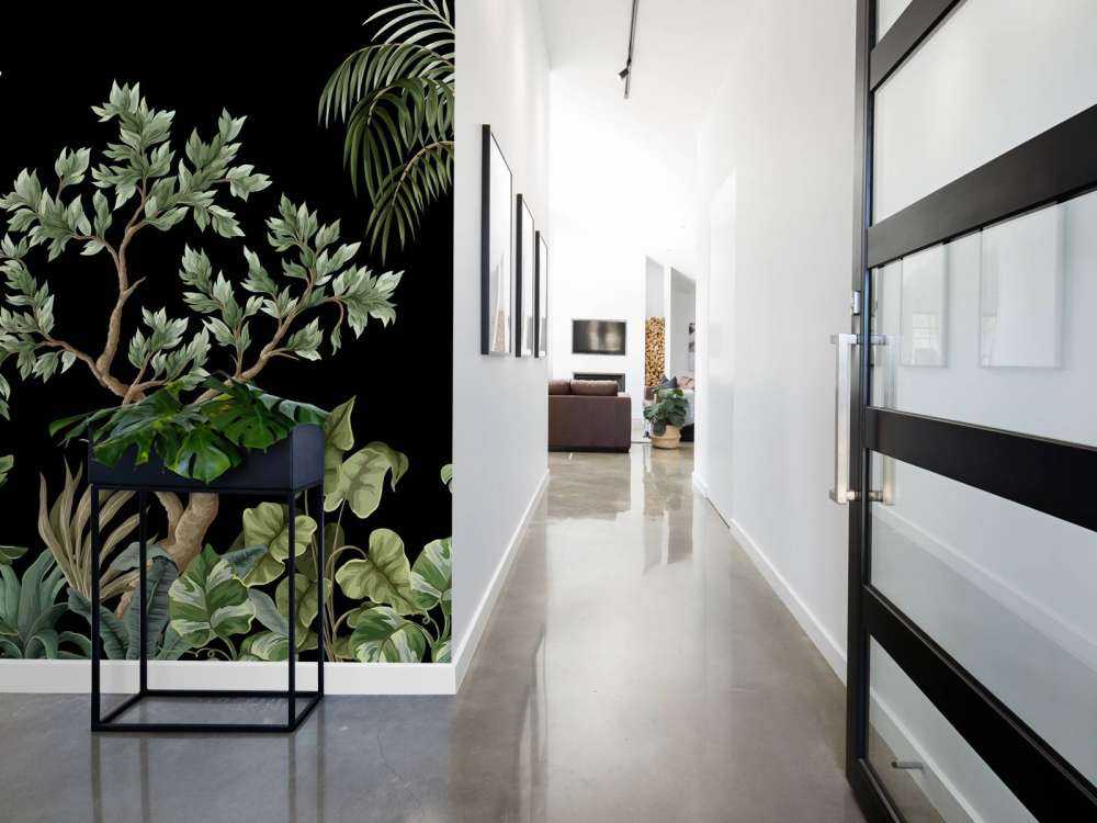 Træer med mørk baggrund