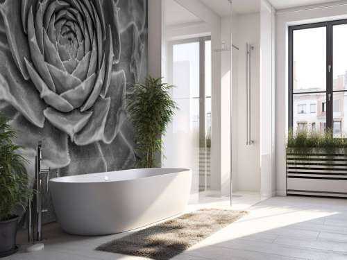 Nærbillede af saftige planter