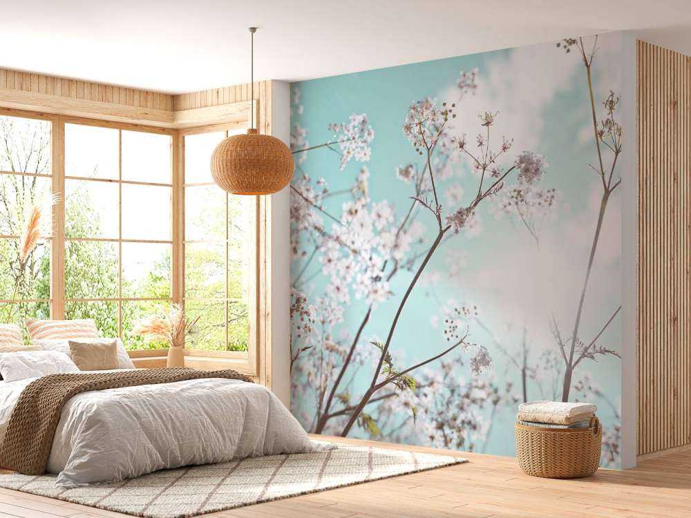 Mandelblomst i solen