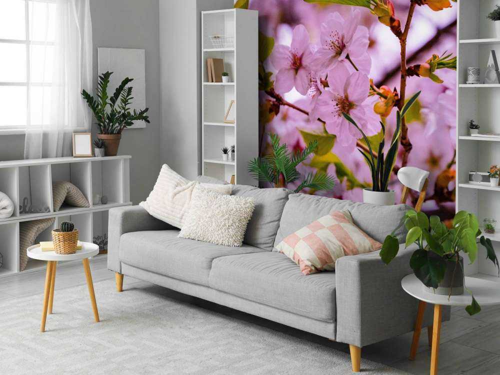 Lyserøde blomster med kronblade