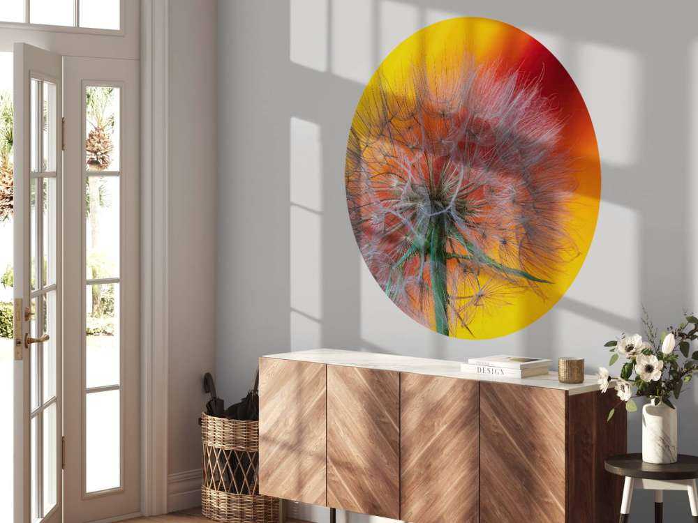 Nærbillede af mælkebøtte