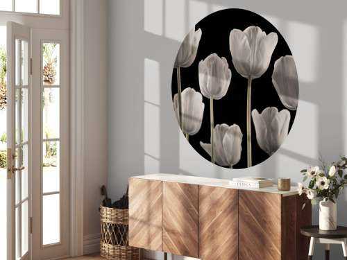 Flere tulipaner