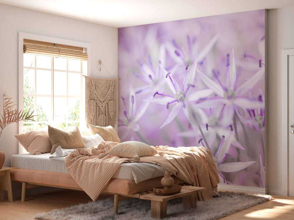 Nærbilde allium blomster