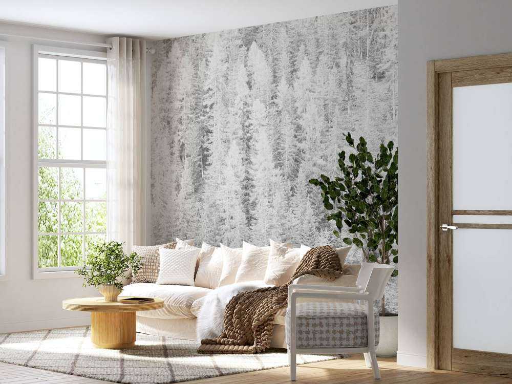 Bartrær i svart og hvitt