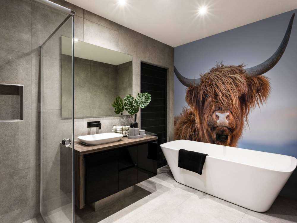 Stirrer det skotske høylandet