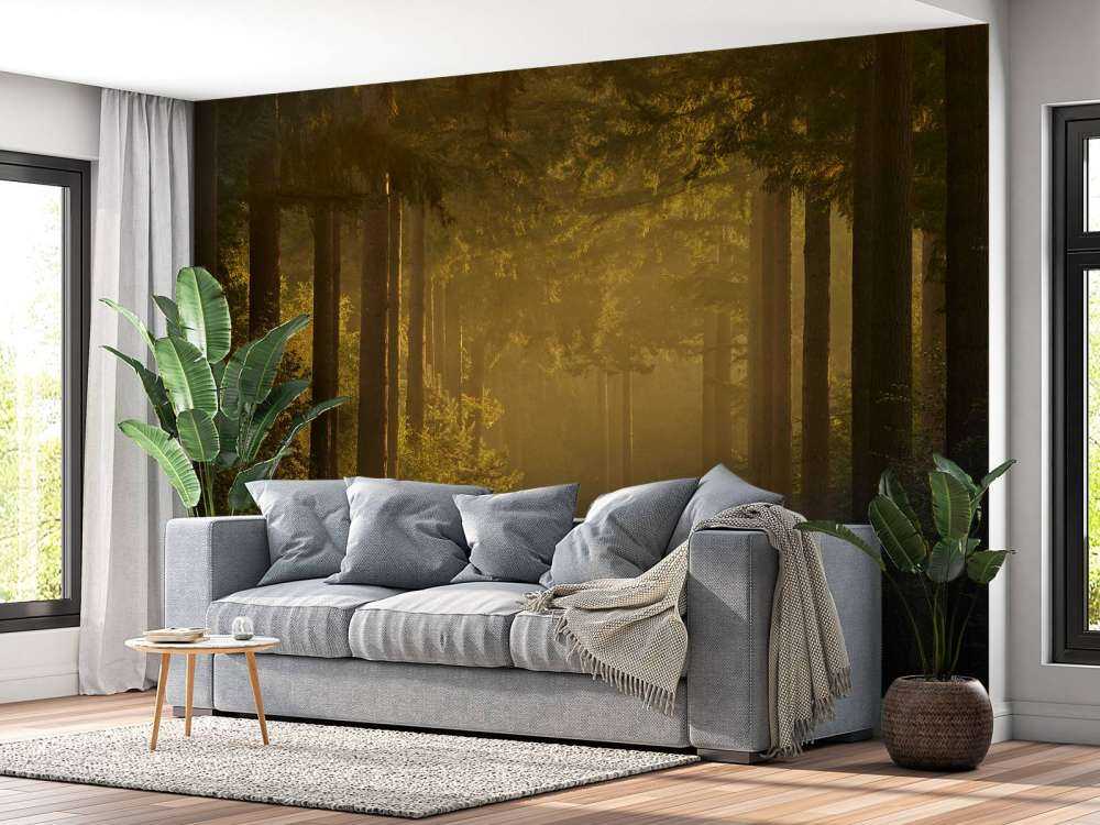 Soloppgang på vei gjennom skogen