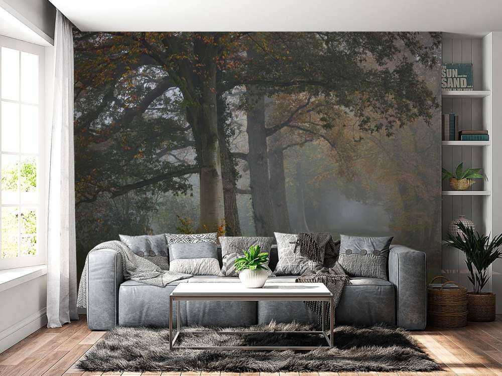 Lane med trær i tåken