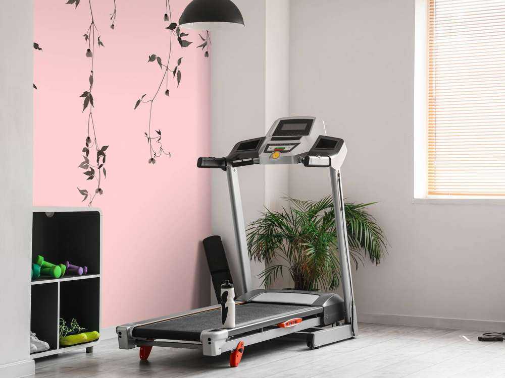 Klematiskvister på gammelrosa