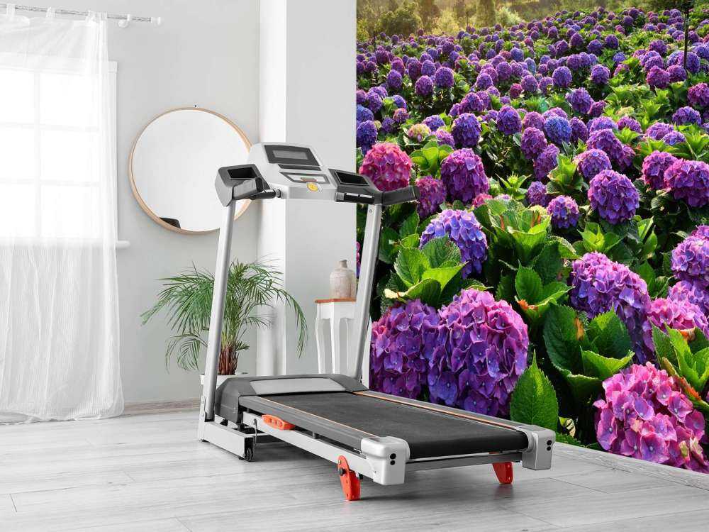 Hortensia på en åker