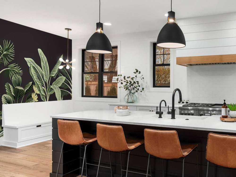 Tropisk palmetre på mørk bakgrunn