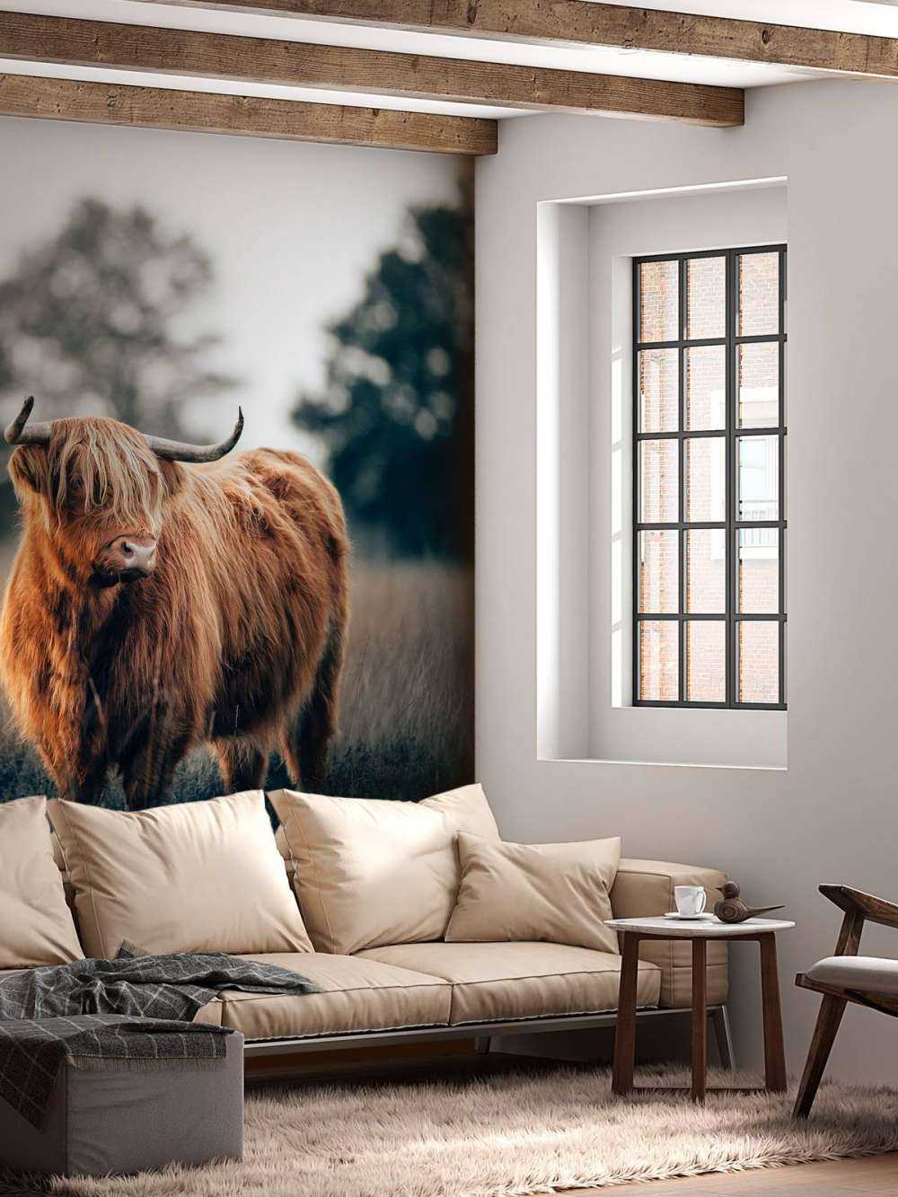 Portrett av høylandsfe