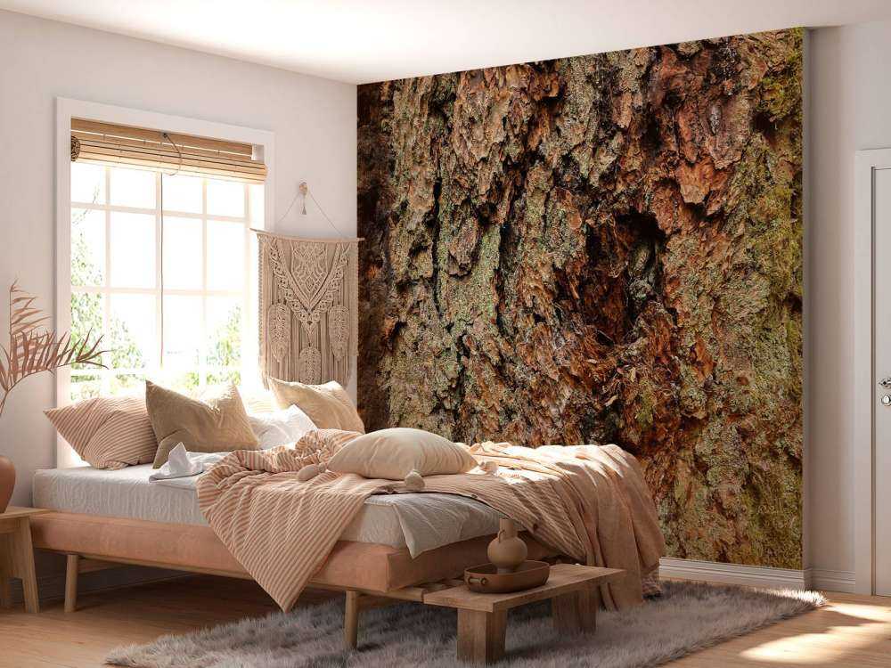 Trebark gammelt treverk