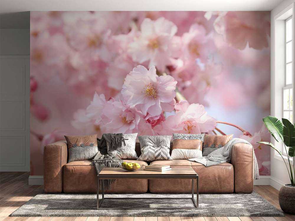 Nærbilde rosa blomster