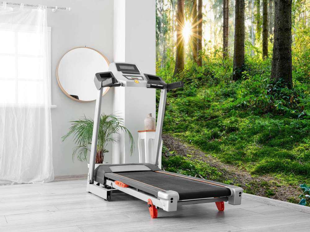 Skogpanorama om våren