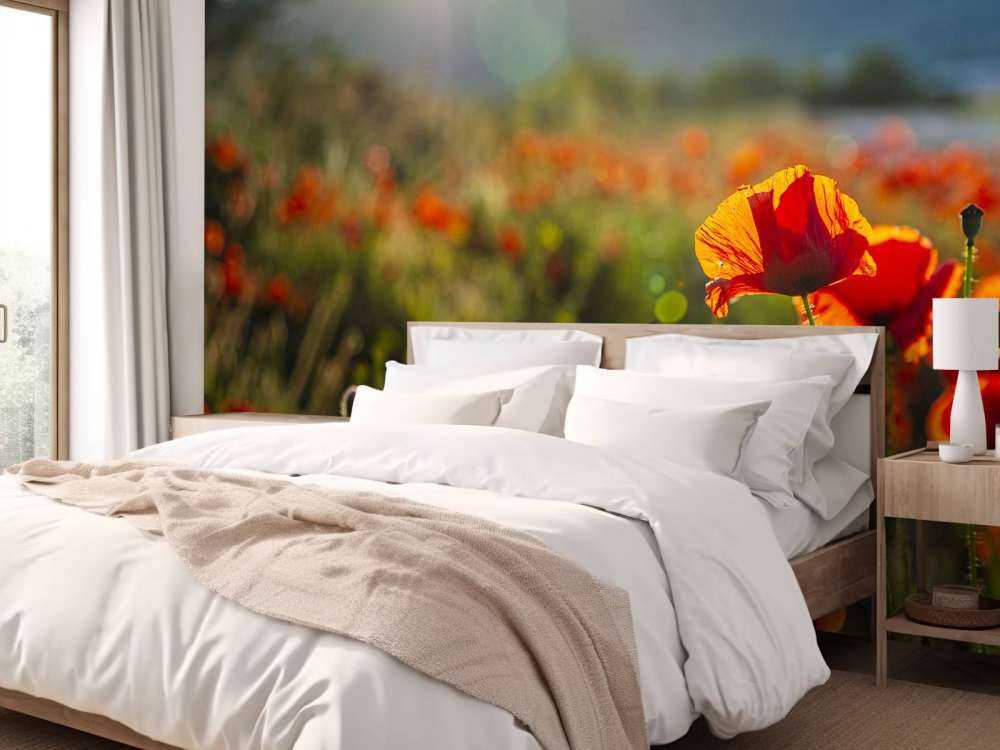 Valmuer med solstråler