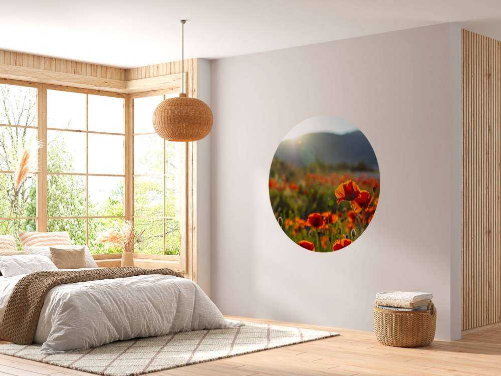 Valmuer med solstråler