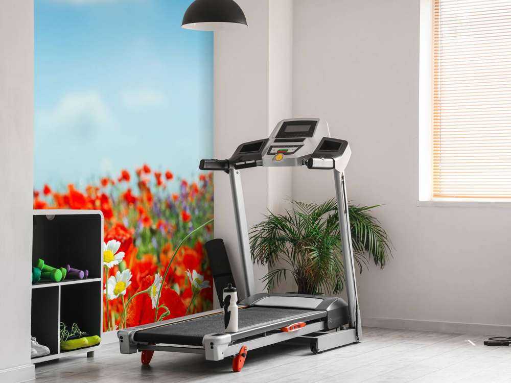 Valmuer og tusenfryd