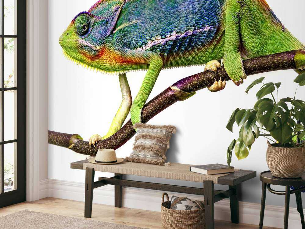 Kameleon