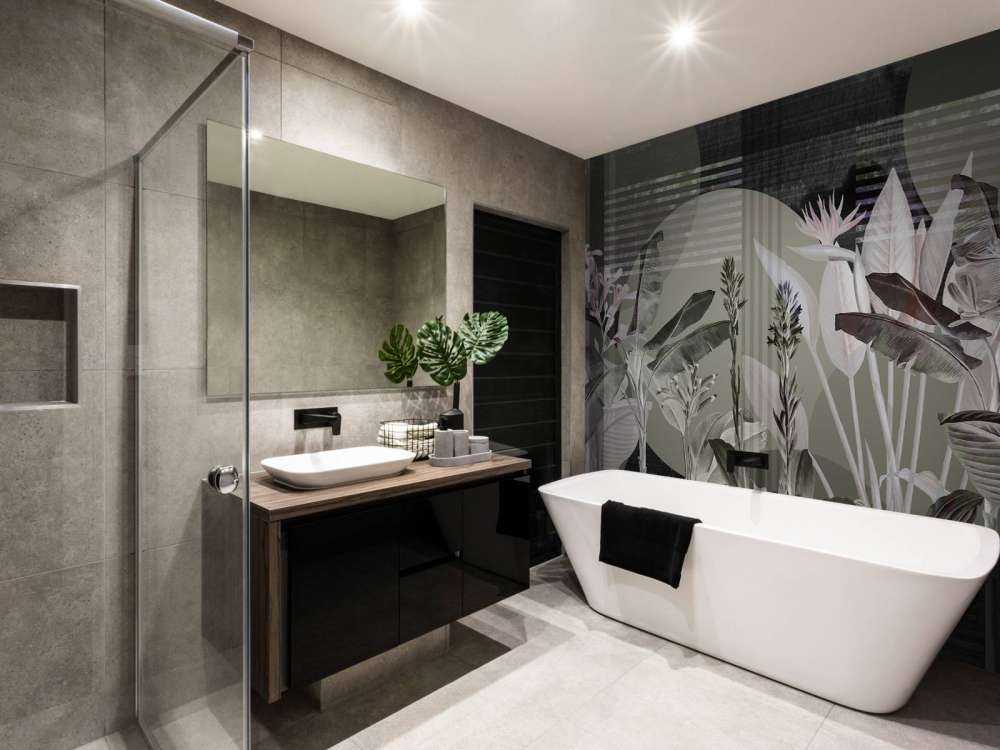 Dreams and Tropics 4