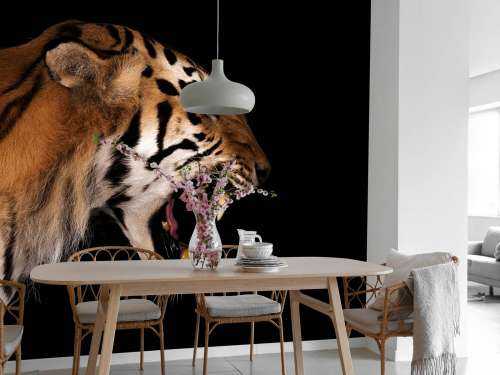 Brølende tiger