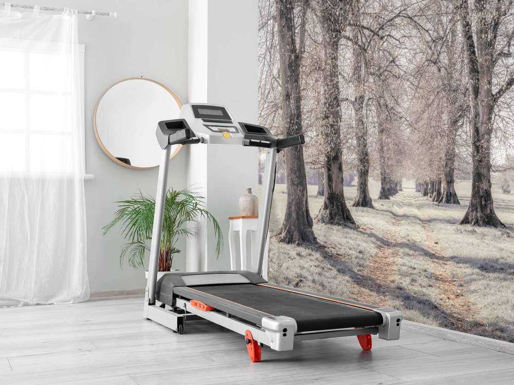 Dekkspor mellom trærne