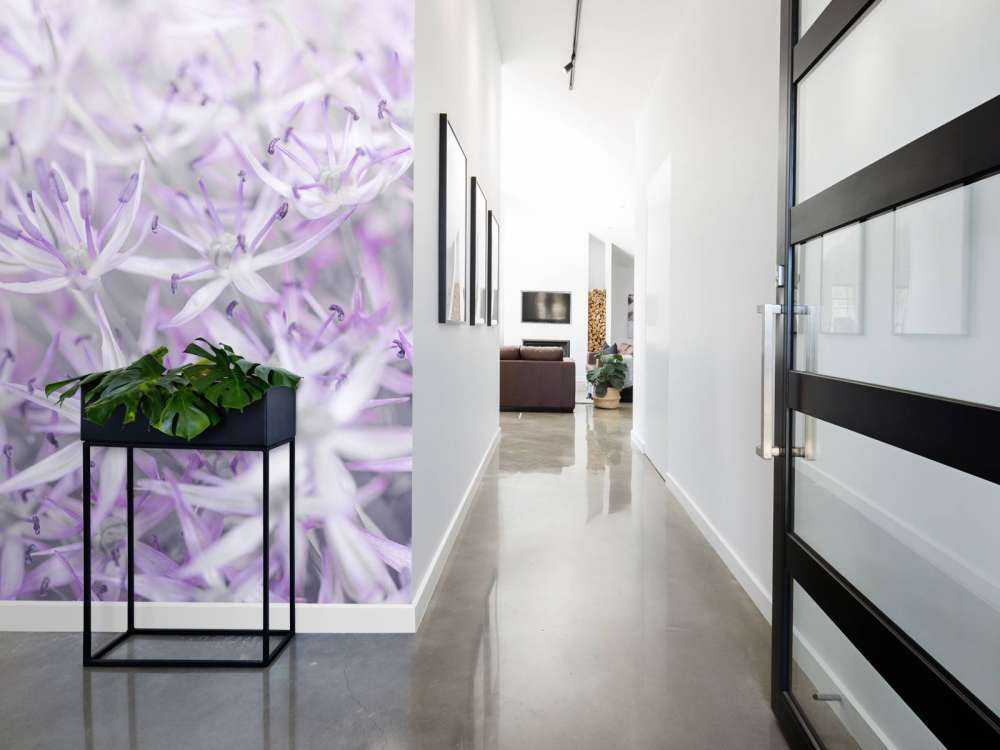 Allium blomster nærbilde