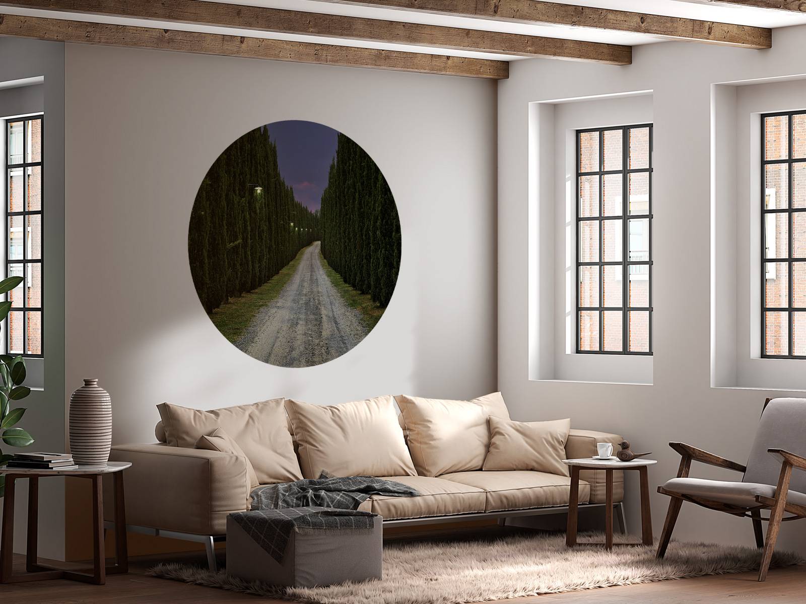 Cypress om kvelden